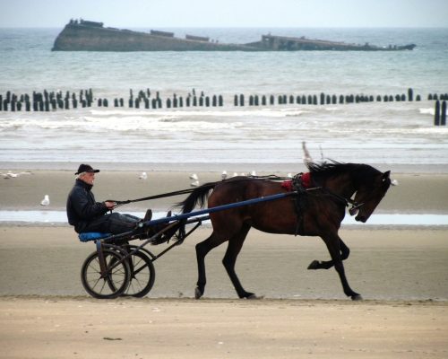 les plages du débarquement de Normandie